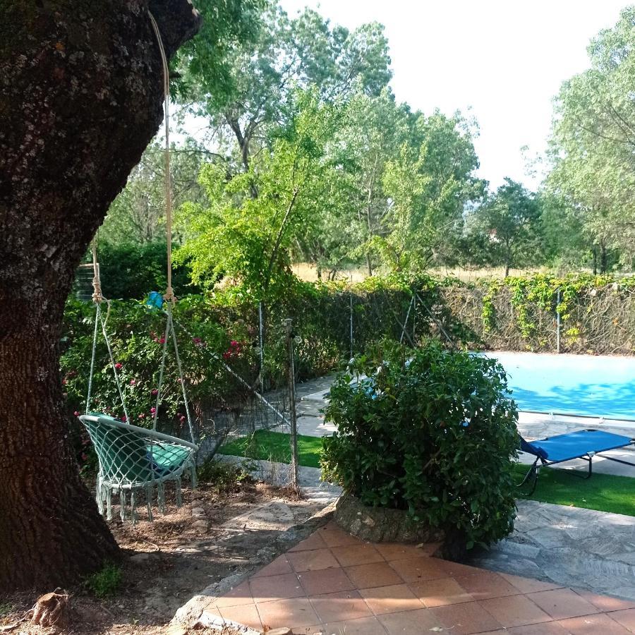 Casa Rural Vinas Perdidas Bejar Exterior photo